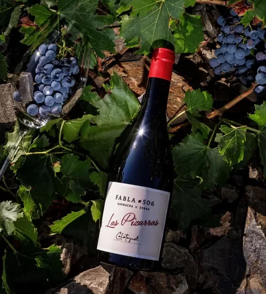 Las Pizarras - Fabla (vino tinto)