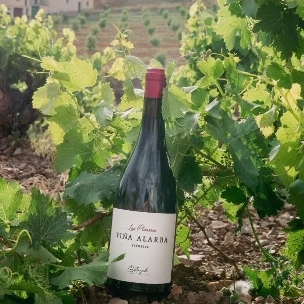 Las Pizarras - Viña Alarba (vino tinto)